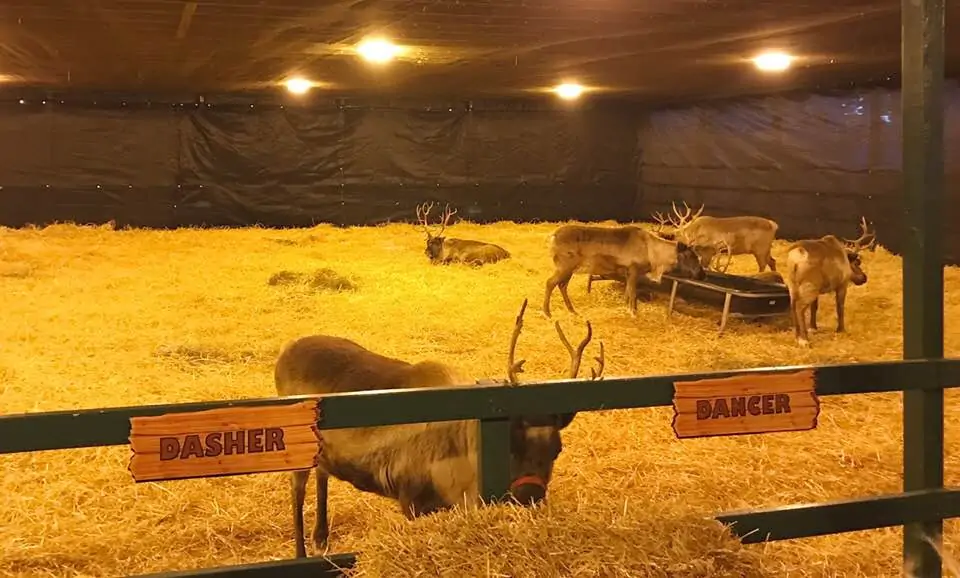 Christmas at Hersheypark