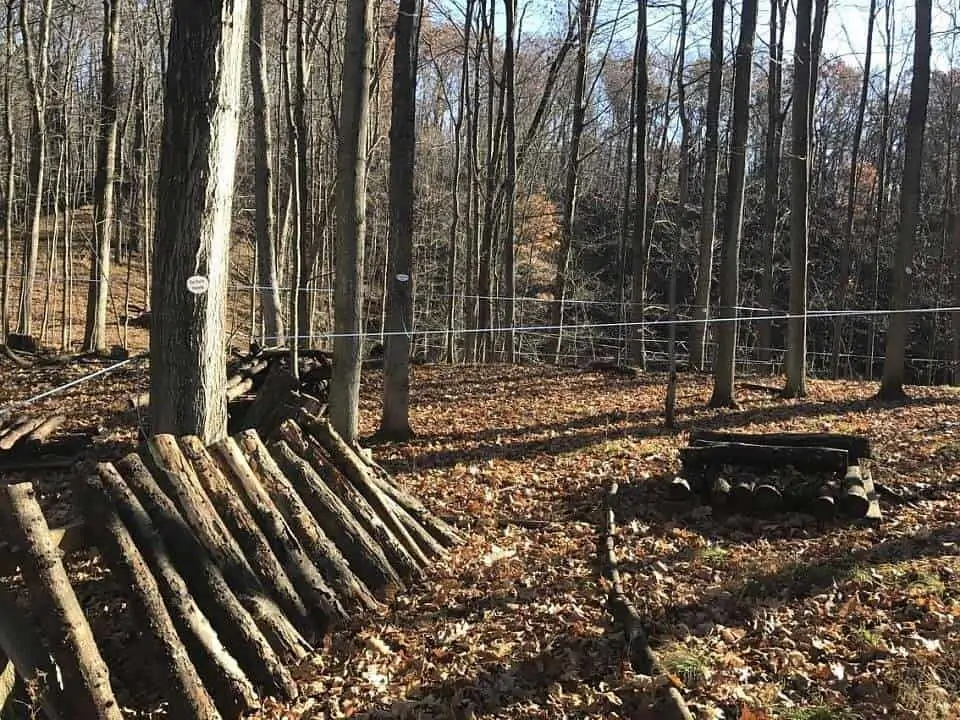 kettle ridge farm tapping maple tree