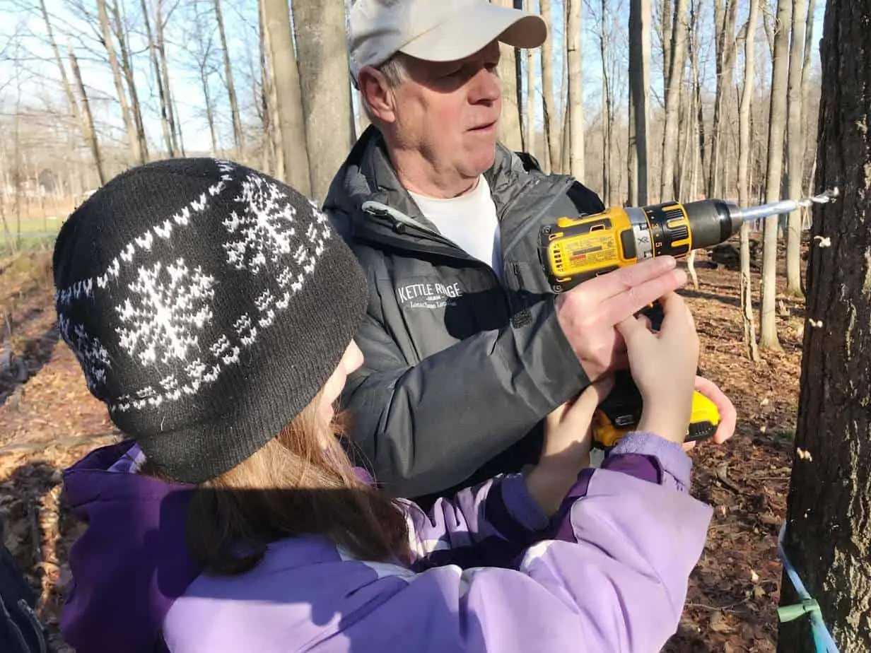 adopt a maple at kettle ridge farm 