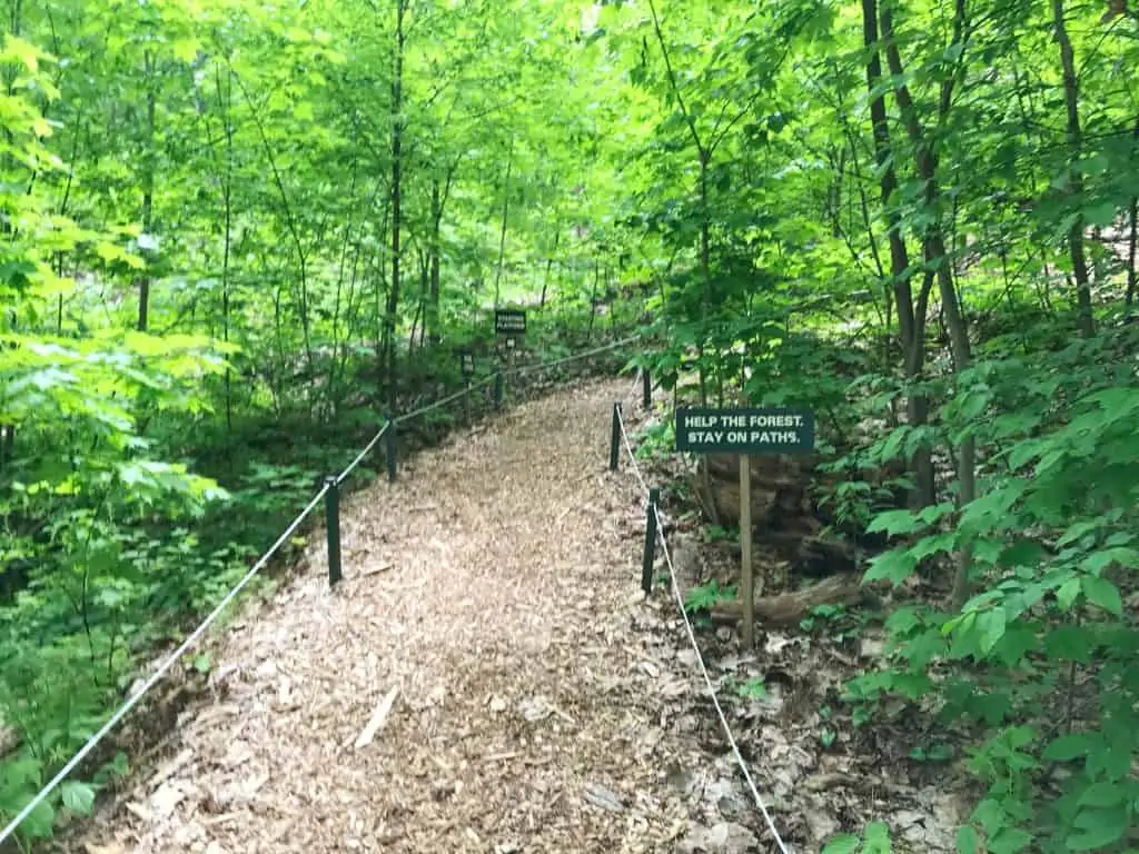 walk to sky high ropes course