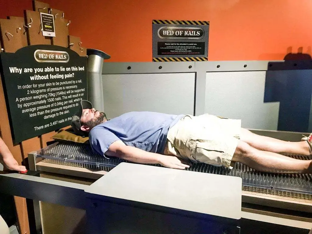 wonderworks bed of nails destiny USA