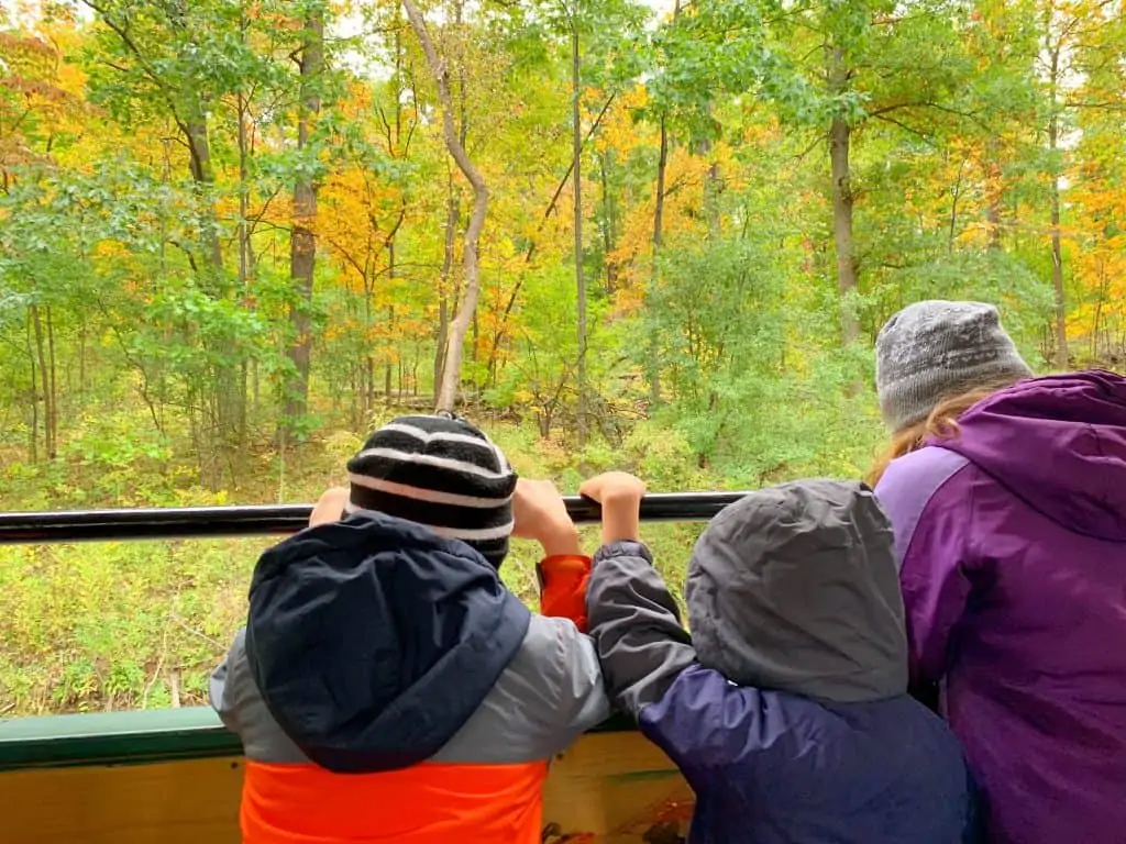 Pumpkin Patch Train Ride in Rochester New York