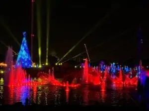 sea of trees at christmas at seaworld orlando florida