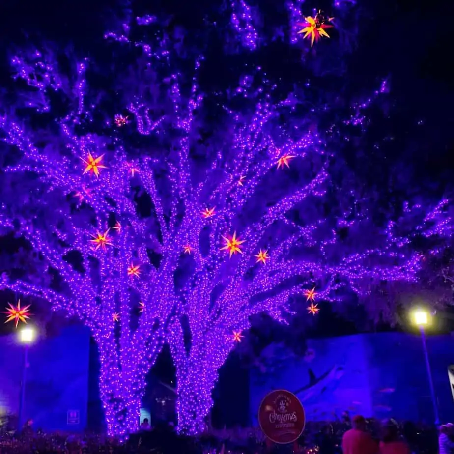 christmas celebration lights at seaworld