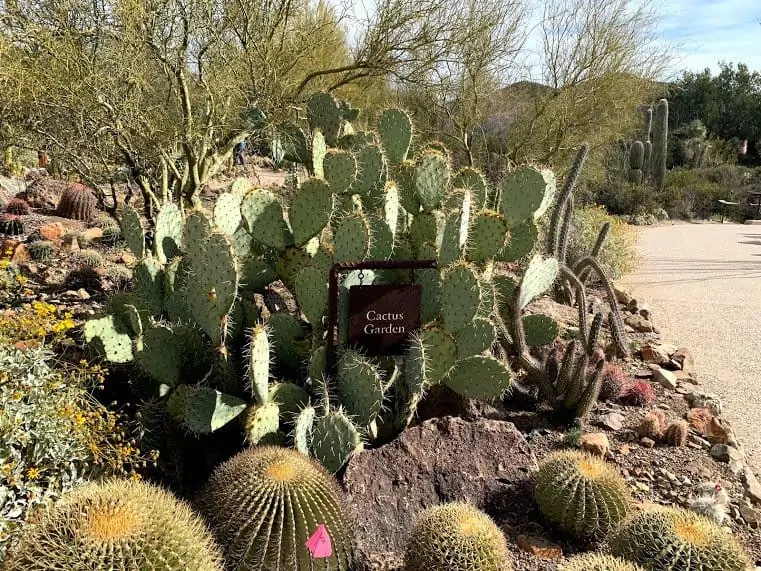 arizona sonora desert museum in tucson