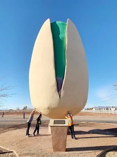 pistachio at alamogordo