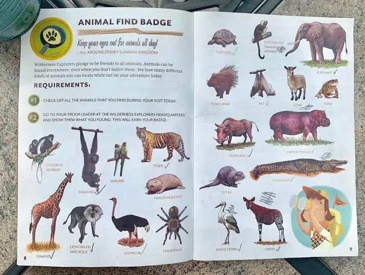 animal find badge at animal kingdom