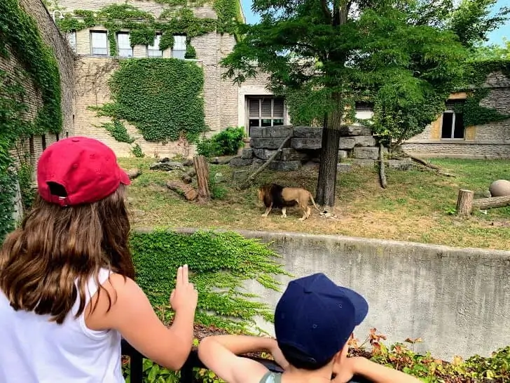 buffalo zoo