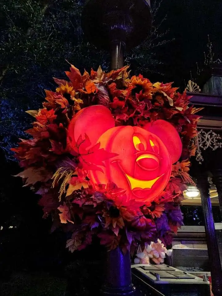 MNSSHP Decorations
