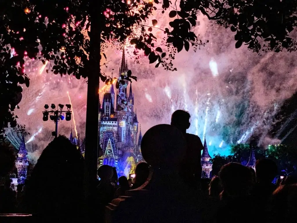 Fireworks at Magic Kingdom for MNSSHP