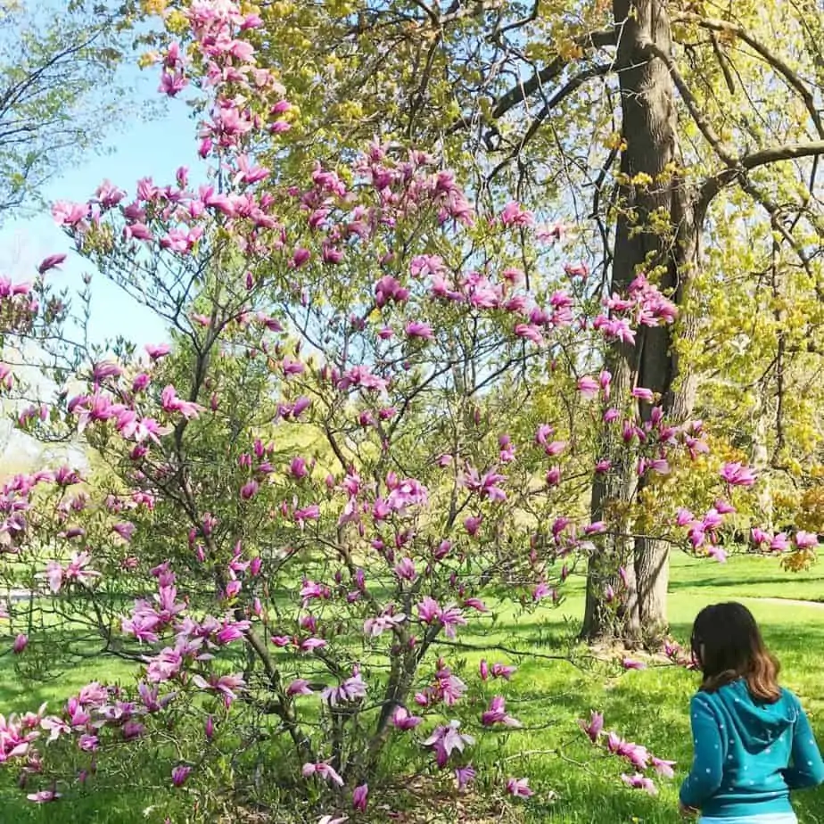 sonnenburg gardens