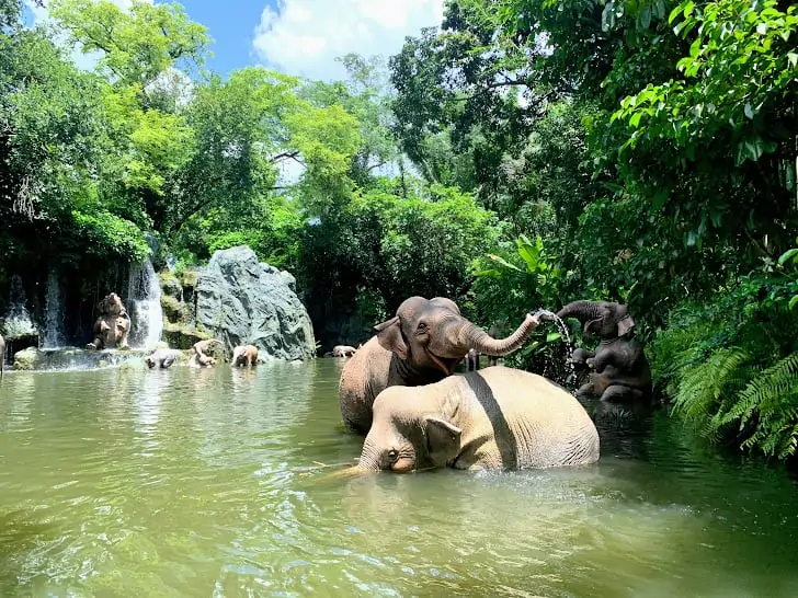 ride attractions during disney vacation at magic kingdom