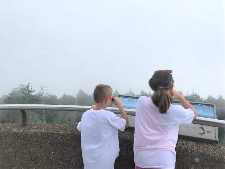 pigeon forge clingsmans dome.