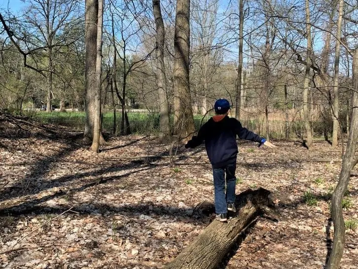 powder mills park in rochester.