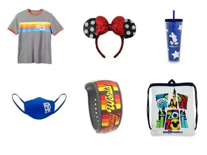 Disney Gift Baskets Adult Parks.