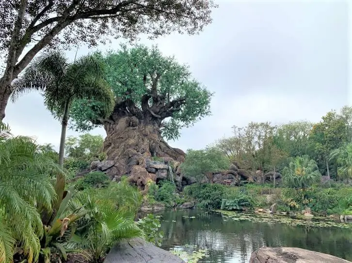 best rides at animal kingdom walt disney world