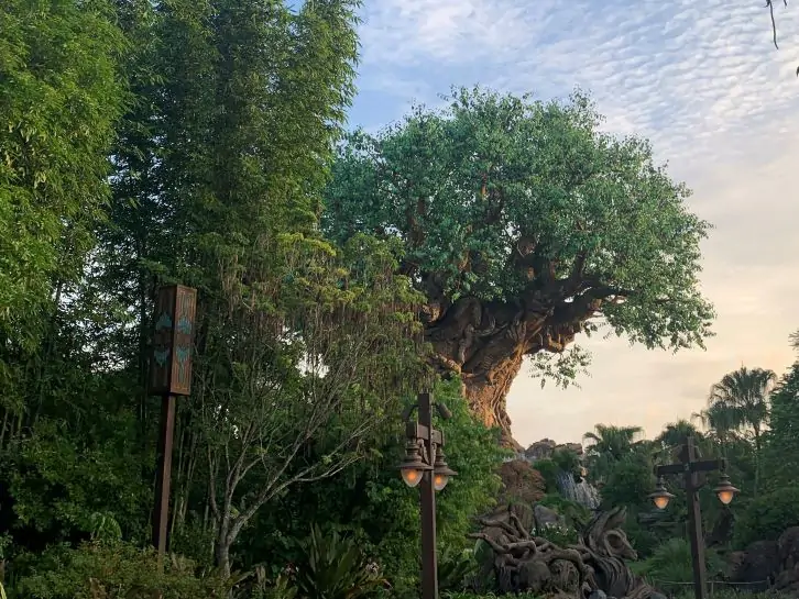 tree of life at animal kingdom 