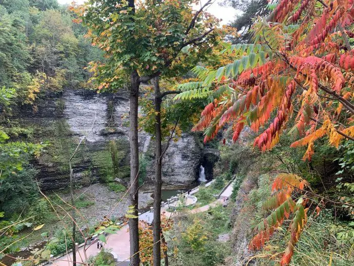  watkins glen