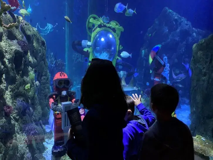 things to do in carlsbad with kids sea life