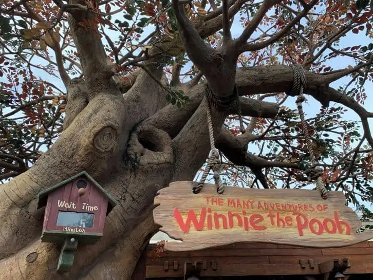 disney world vs universal orlando winnie the pooh