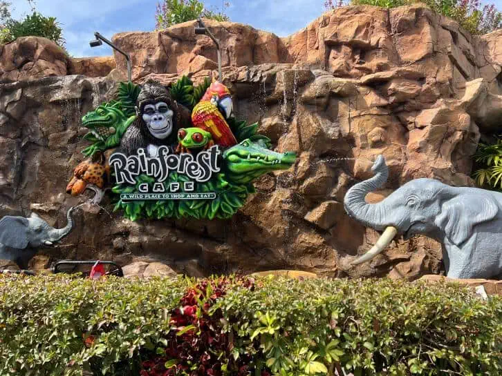 disney springs restaurants rainforest cafe